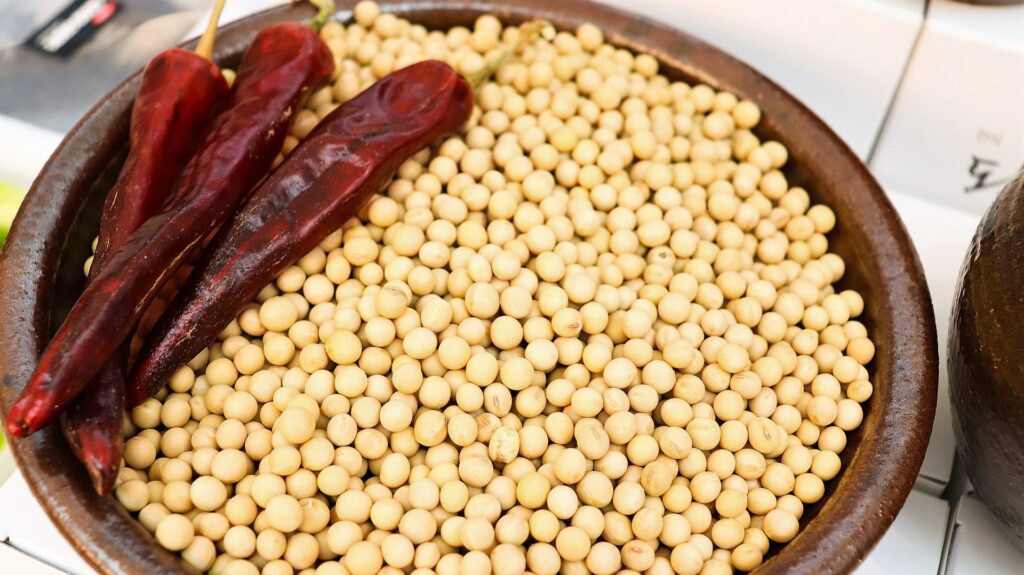 Alimenti fermentati: Tofu