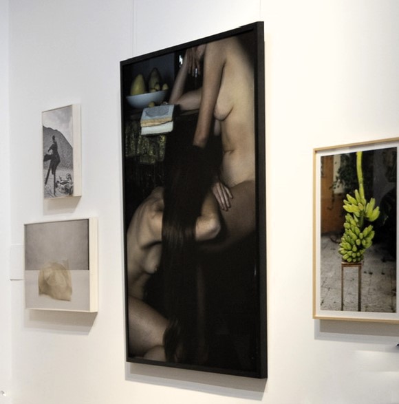 Spazio Hasita: quadri