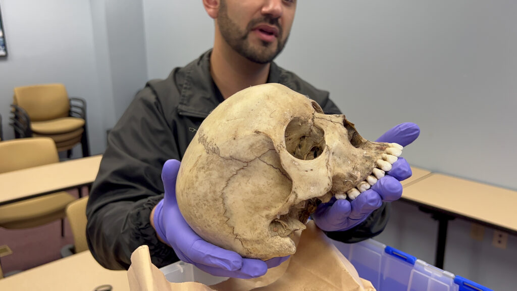 DNA: cold case