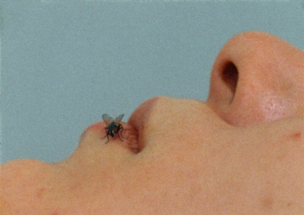Musca depicta: Yoko Ono