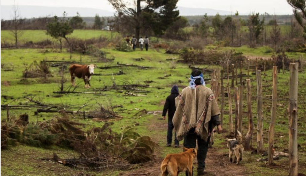 Comunità Mapuche . il popolo indigeno