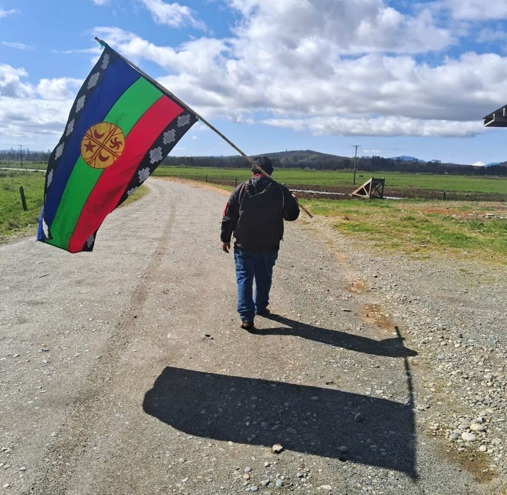 Operatore agricolo: operatore agricolo cileno