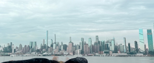 New York una latra veduta