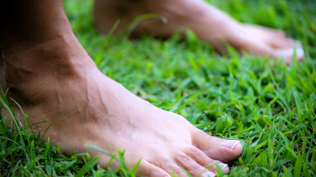 Natura -Il contatto tangibile con la natura