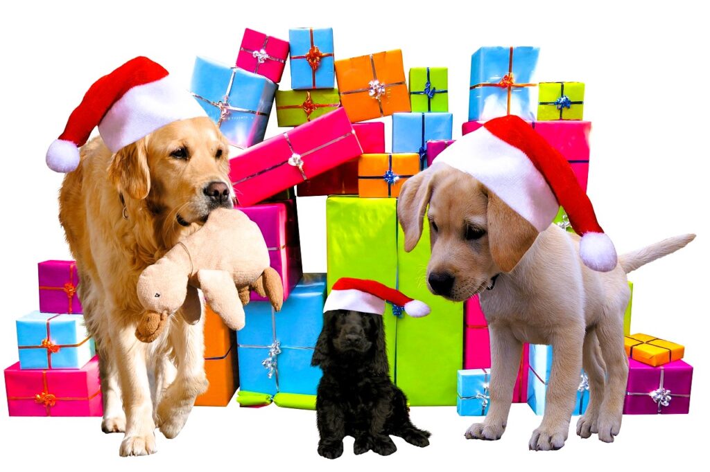 Regalo - Galateo e Vademecum del NON regalo