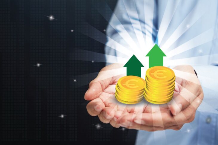 Il valore delle monete