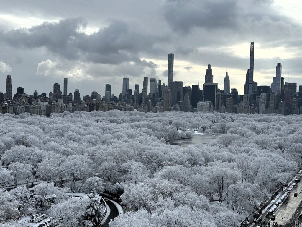 Central Park - New York